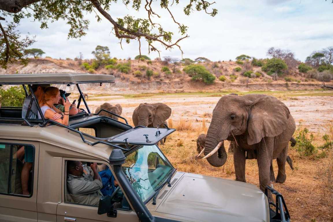 5-Day Fly-in Big Five Budget Group Safari