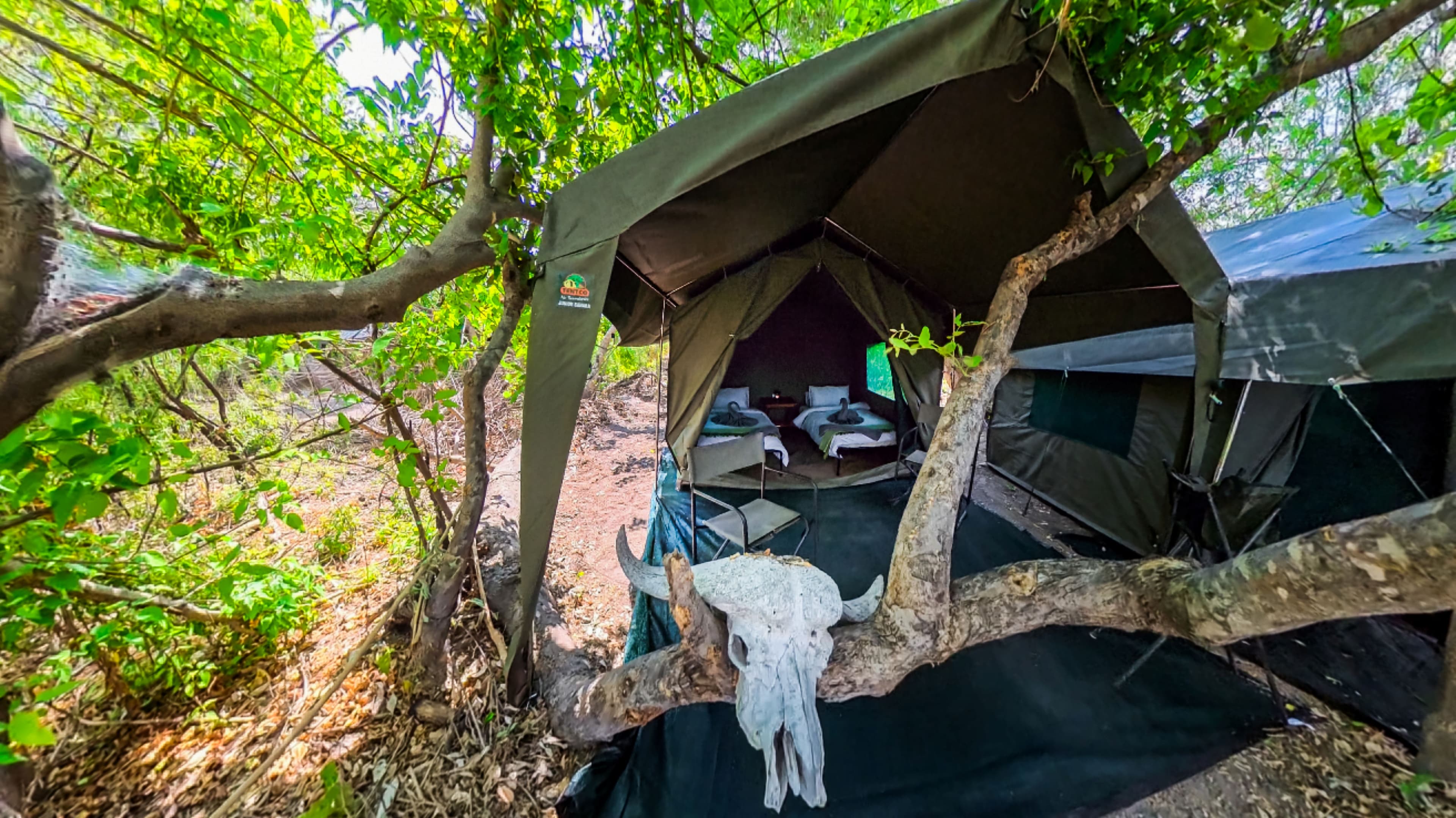 3-Day Khwai Wilderness Mobile Safari