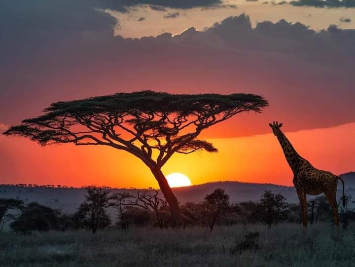 8-Day Northern Circuit Explorer