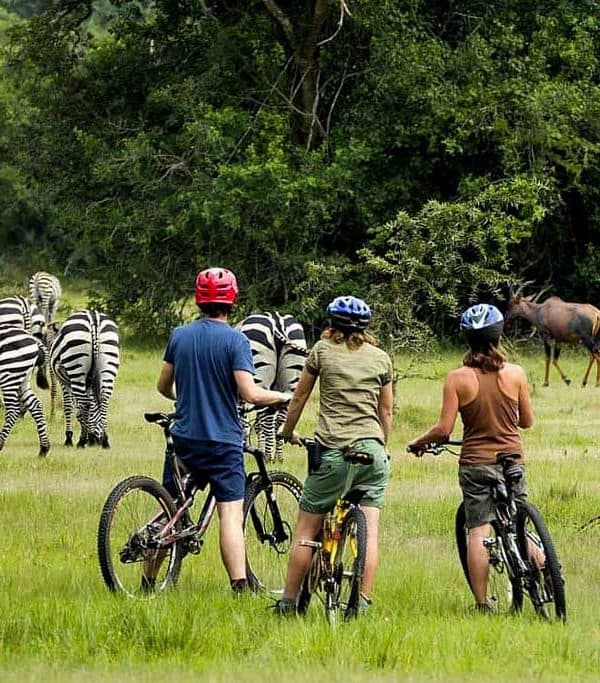 3-Day Thrilling Lake Mburo Safari