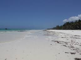 14-Day Thrilling Safari In Kenya And Diani Beach Tour