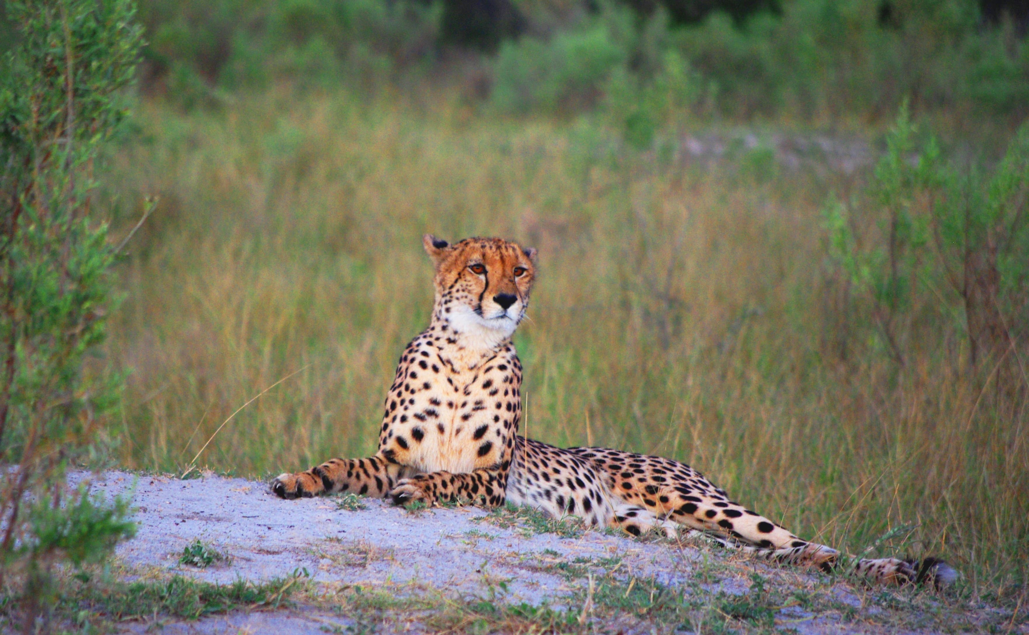 Gallery 5