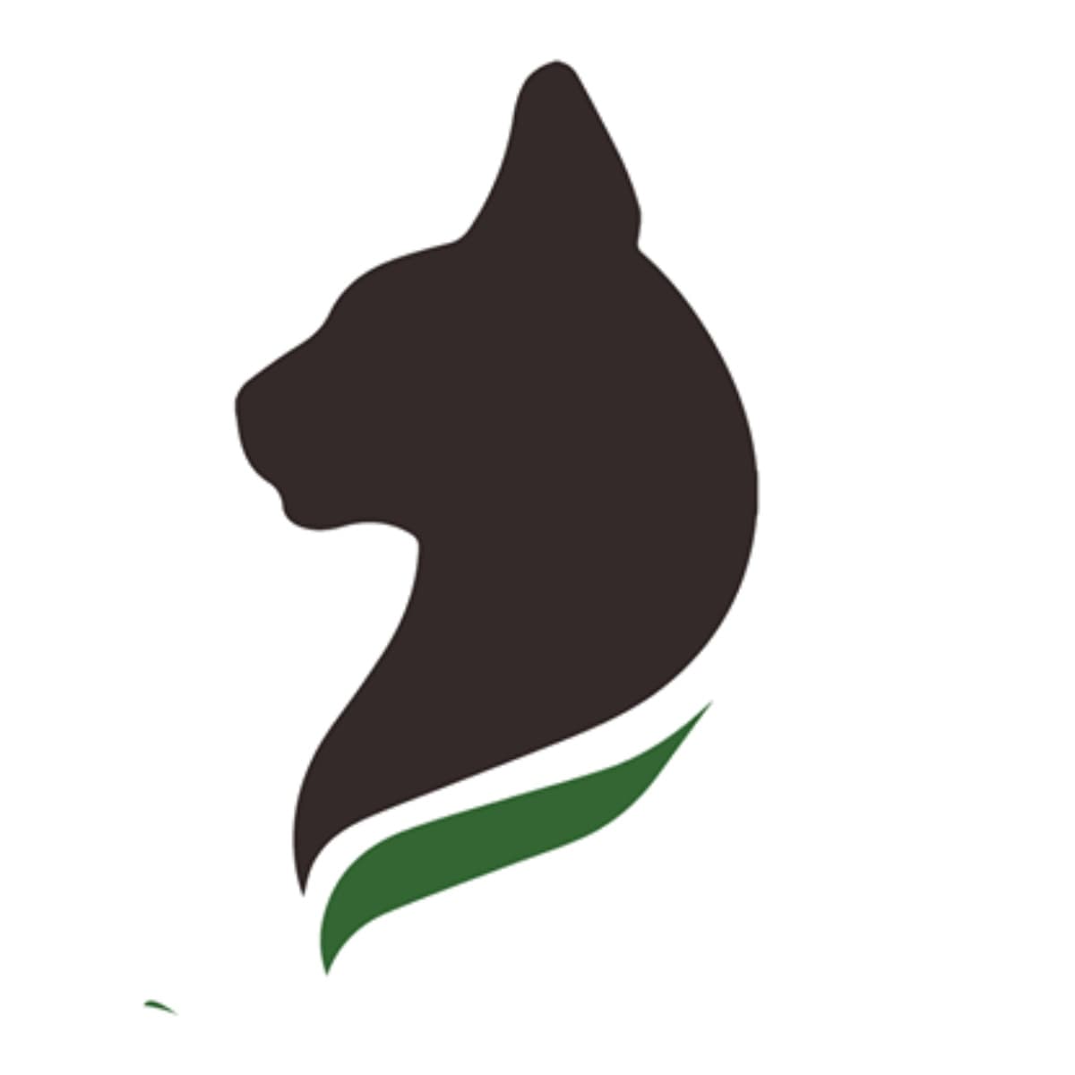 Serval Adventure logo