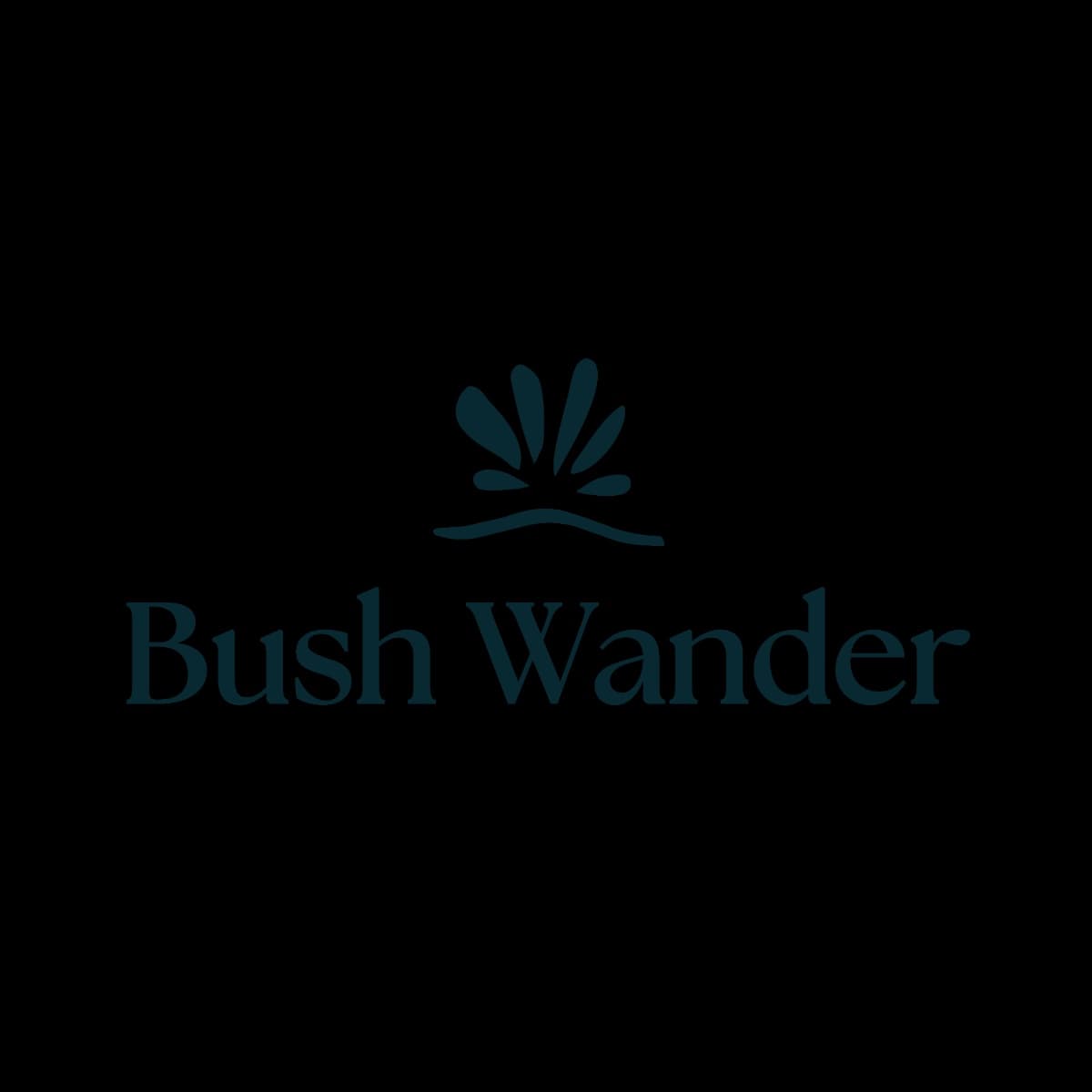 Bush Wander Experiences logo