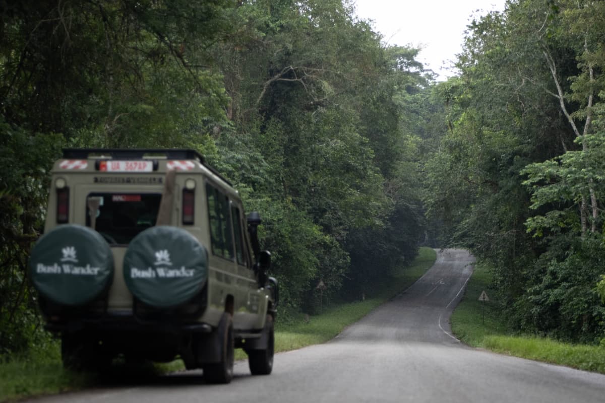 Bush Wander Experiences