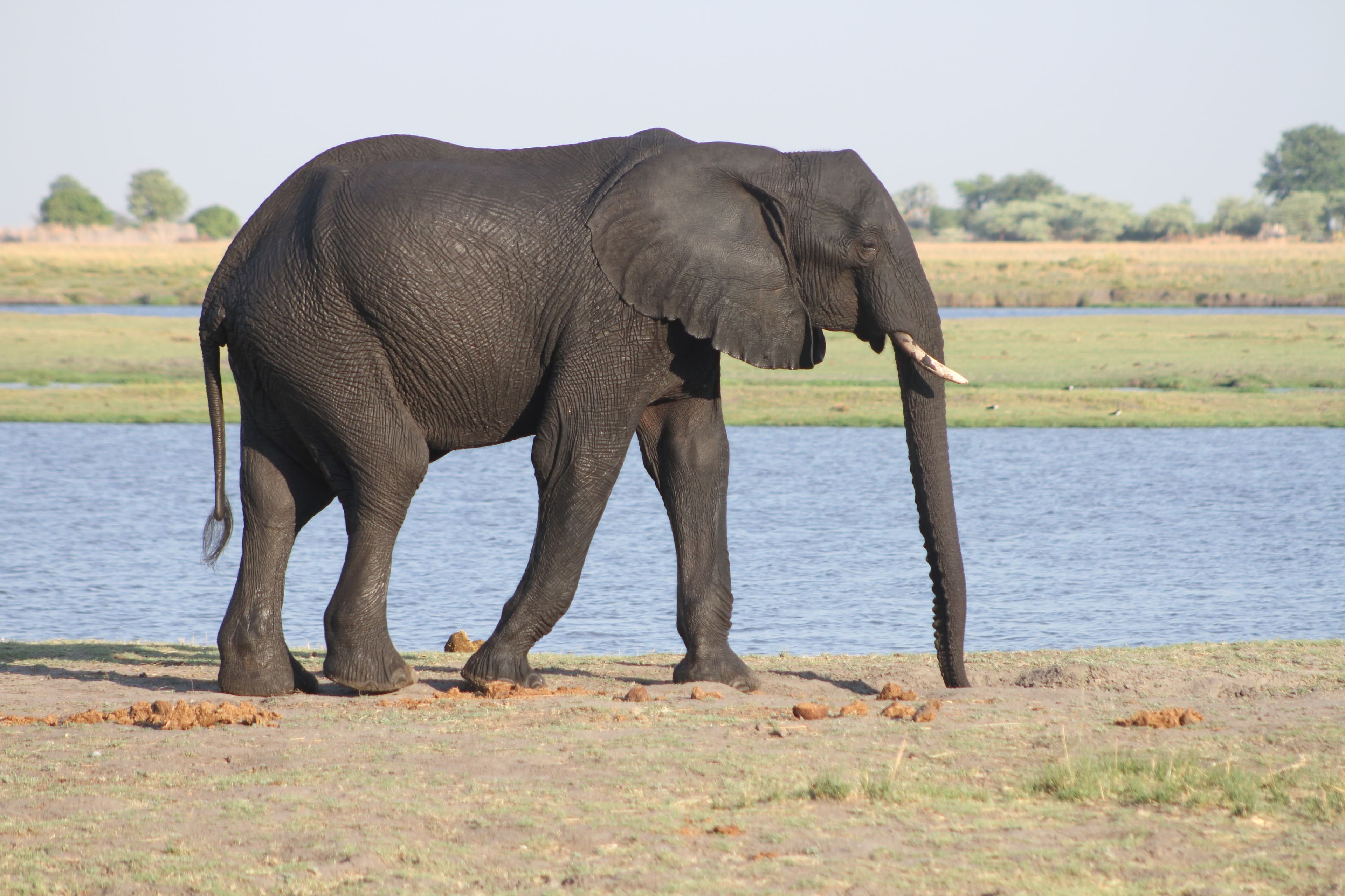 10-Day Victoria Falls & Okavango Delta Safari