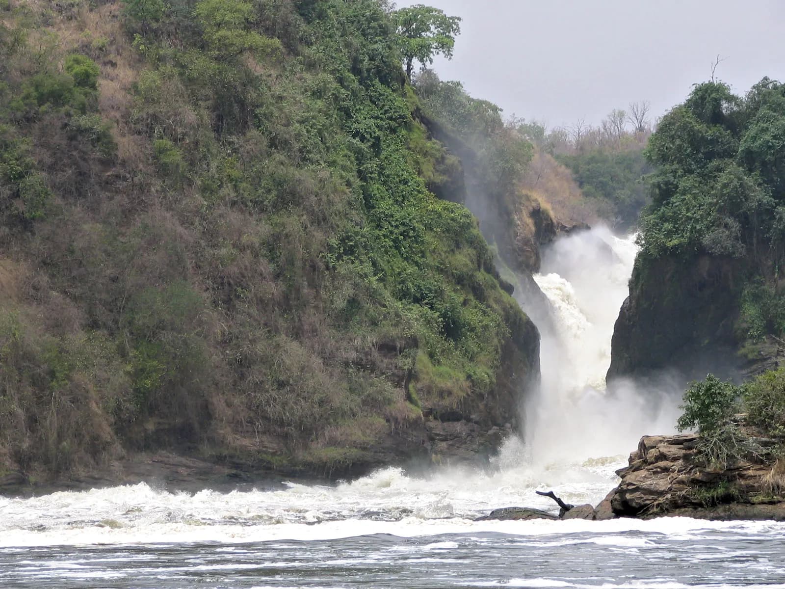8-Day Uganda Primate and Jinja Adventure Safari