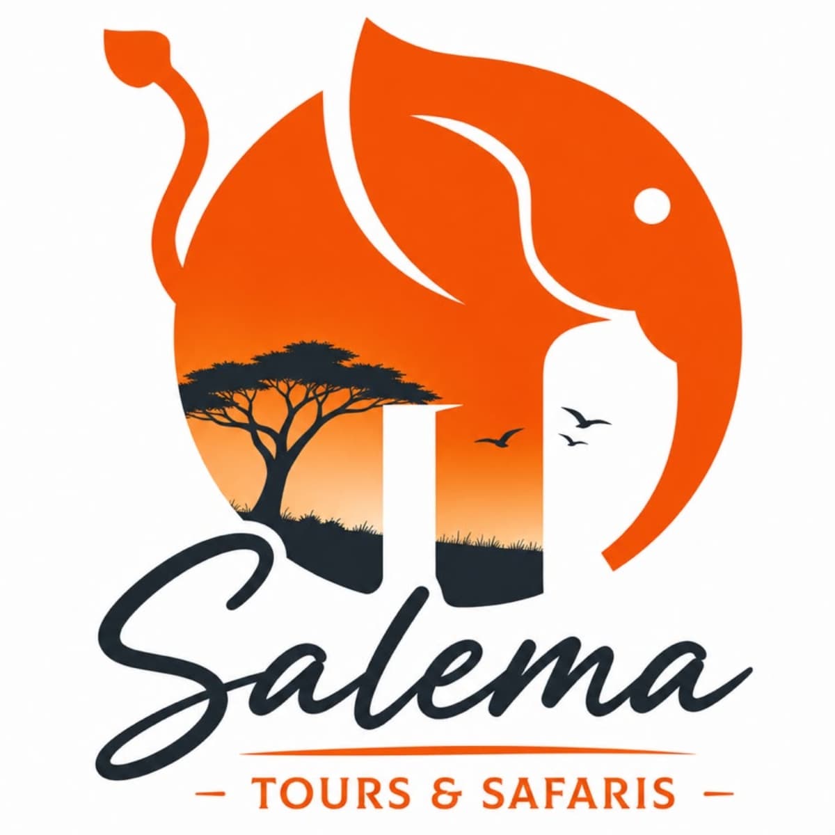 Salema Tours & Safaris logo