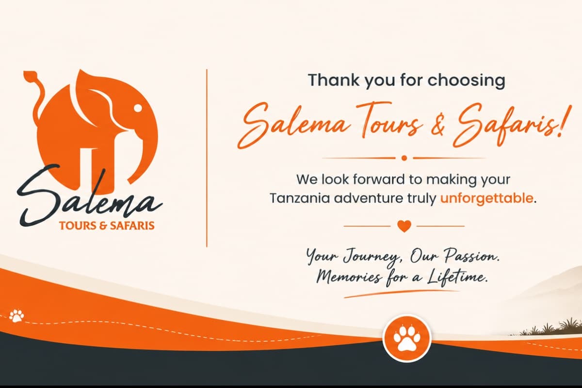Salema Tours & Safaris