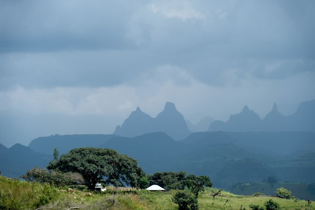 Ethiopia Safari in August 2026: Peak Wildlife & Real Costs