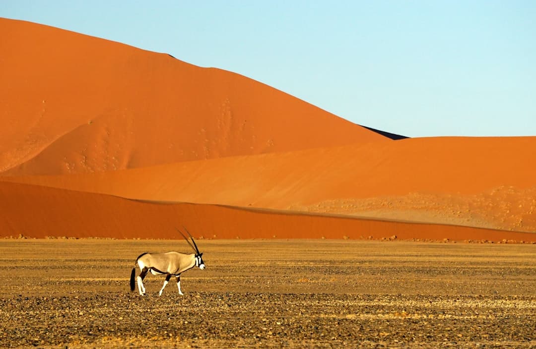 Namibia Visa for Italian Citizens 2026