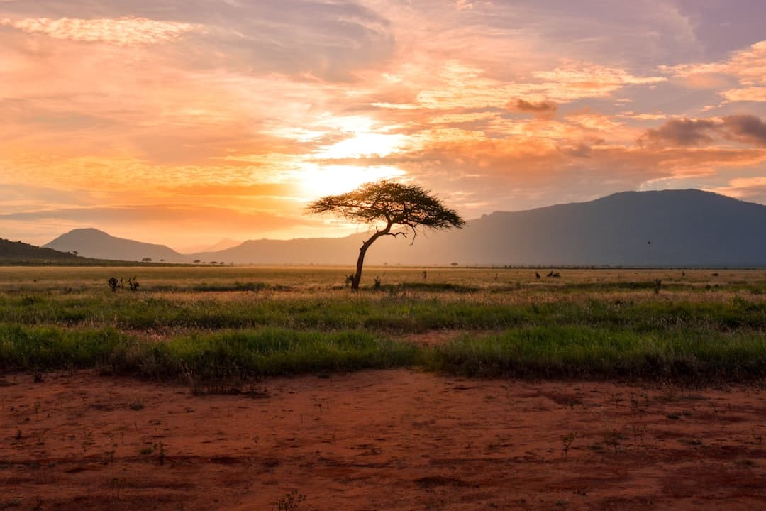 What Vaccinations Does Kenya Require for Norwegians in 2026?